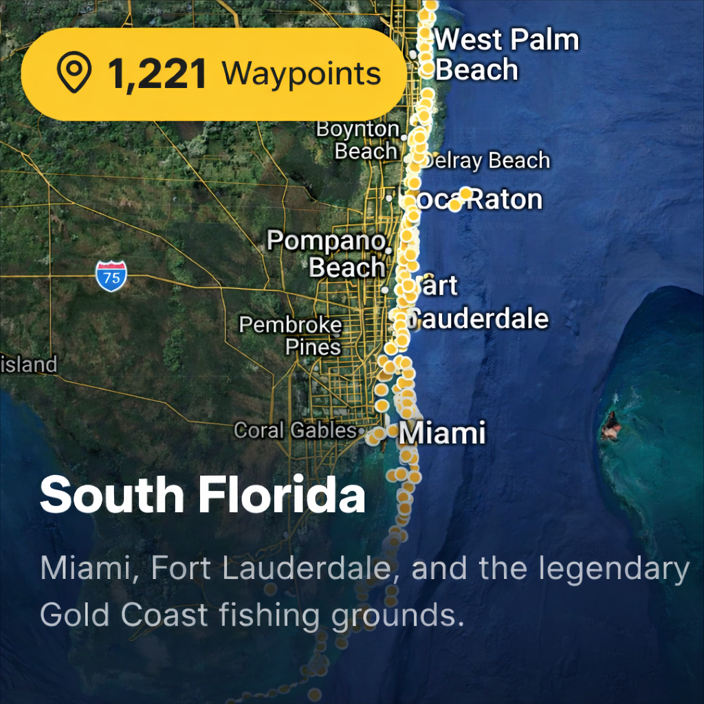 South Florida Complete Package